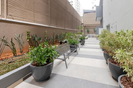 Apartamento para alugar com 42m², 1 quarto e sem vaga Apartamento para alugar com 42m², 1 quarto e sem vagaÁrea Comum