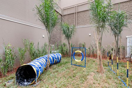 Apartamento para alugar com 42m², 1 quarto e sem vaga Apartamento para alugar com 42m², 1 quarto e sem vagaEspaço Pet