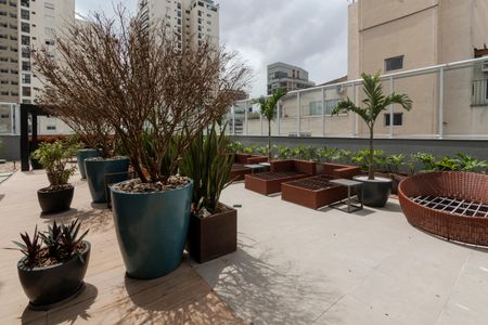 Apartamento para alugar com 42m², 1 quarto e sem vaga Apartamento para alugar com 42m², 1 quarto e sem vagaÁrea Comum