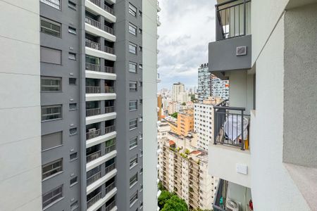 Studio para alugar com 21m², 1 quarto e sem vagaVista da Sacada