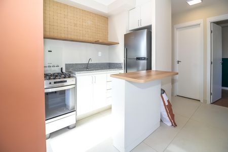 Apartamento à venda com 40m², 2 quartos e sem vagaCozinha