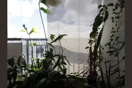 Varanda da Sala de apartamento para alugar com 1 quarto, 47m² em Vila Andrade, São Paulo