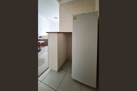 Apartamento para alugar com 39m², 1 quarto e 1 vagaCozinha - Armários