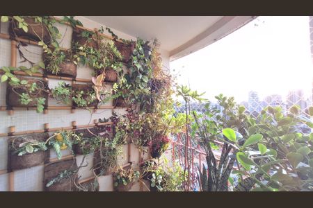 Apartamento à venda com 105m², 3 quartos e 2 vagasVaranda da Sala