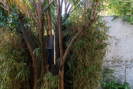 Casa à venda com 436m², 4 quartos e 4 vagasVista da suíte 2