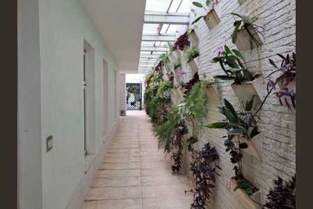 Casa à venda com 4 quartos, 450m² em Planalto Paulista, São Paulo