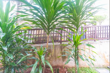 Apartamento para alugar com 55m², 2 quartos e 1 vagaVista do Quarto 2