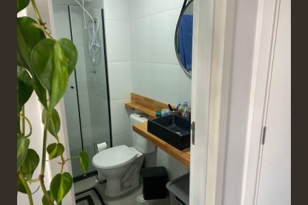 Banheiro Social de apartamento para alugar com 2 quartos, 37m² em Vila Guilherme, São Paulo