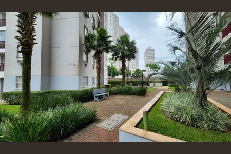 Apartamento para alugar com 76m², 3 quartos e 1 vagaJardim