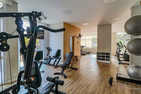 Apartamento para alugar com 67m², 2 quartos e 1 vaga Apartamento para alugar com 67m², 2 quartos e 1 vagaÁrea comum - Academia