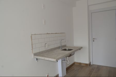 Apartamento para alugar com 29m², 1 quarto e sem vagaCozinha