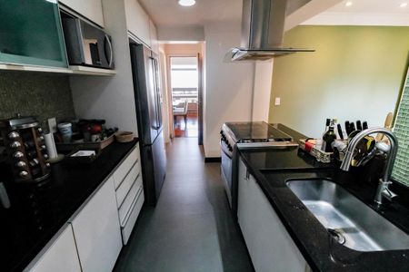 Apartamento à venda com 221m², 3 quartos e 3 vagasCozinha - Armários