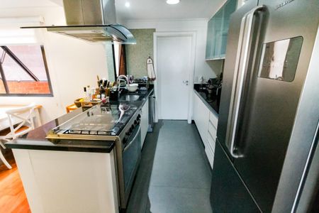 Apartamento à venda com 221m², 3 quartos e 3 vagasCozinha - Armários