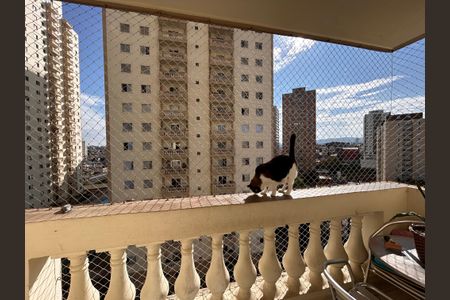 Apartamento à venda com 145m², 3 quartos e 2 vagasVista