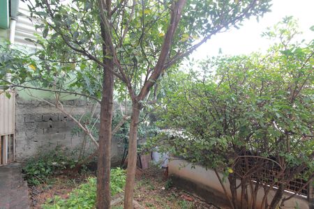 Casa para alugar com 86m², 2 quartos e 1 vagaQuintal