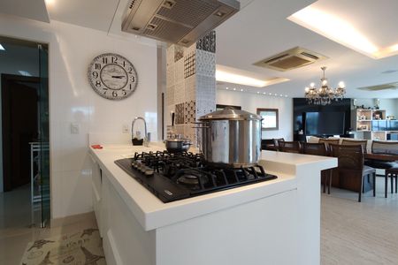 Casa de condomínio à venda com 441m², 3 quartos e 2 vagasCozinha - Armários