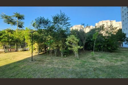 Apartamento para alugar com 62m², 3 quartos e 2 vagasJardim