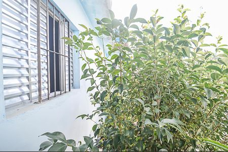 Casa à venda com 237m², 4 quartos e 4 vagasVista do Quarto 2