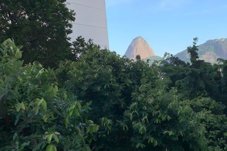 Apartamento para alugar com 40m², 1 quarto e sem vagaVista