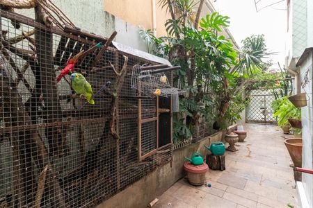 Casa para alugar com 350m², 4 quartos e 4 vagas Casa para alugar com 350m², 4 quartos e 4 vagasQuintal