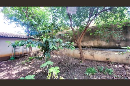 Casa de condomínio à venda com 300m², 3 quartos e 8 vagasQuintal