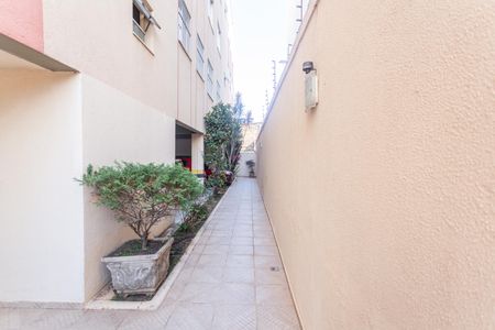 Apartamento para alugar com 80m², 3 quartos e 2 vagas Apartamento para alugar com 80m², 3 quartos e 2 vagasHall de entrada