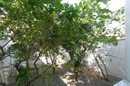 Casa à venda com 167m², 4 quartos e 3 vagasÁrea Externa