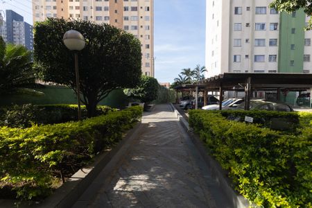 Apartamento para alugar com 61m², 2 quartos e 1 vaga Apartamento para alugar com 61m², 2 quartos e 1 vagaÁrea Comum