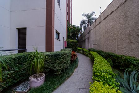 Apartamento à venda com 55m², 3 quartos e 1 vagaÁrea comum