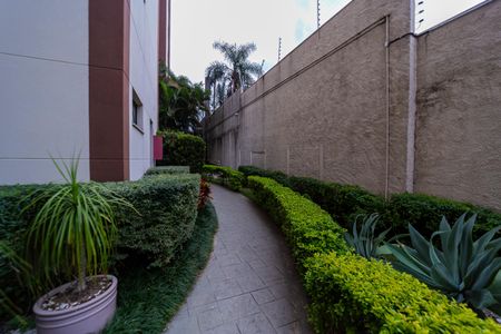 Apartamento à venda com 55m², 3 quartos e 1 vagaÁrea comum