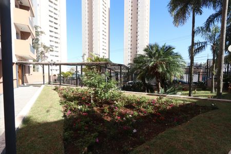 Apartamento à venda com 58m², 3 quartos e 2 vagasÁrea comum 