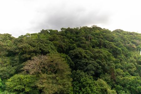 Apartamento à venda com 100m², 3 quartos e 1 vaga Apartamento à venda com 100m², 3 quartos e 1 vagaVista da Suíte