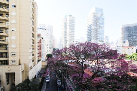 Studio para alugar com 30m², 1 quarto e sem vagaVista