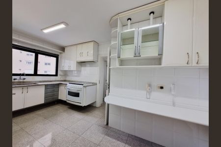 Apartamento para alugar com 288m², 4 quartos e 4 vagasCozinha - Armários