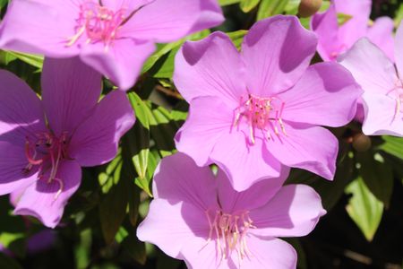 Casa de condomínio para alugar com 295m², 4 quartos e 2 vagasVista/Quintal