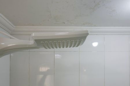 Apartamento para alugar com 72m², 2 quartos e 1 vagaBanheiro da Suíte