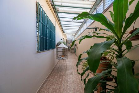 Casa à venda com 250m², 5 quartos e 2 vagasQuintal