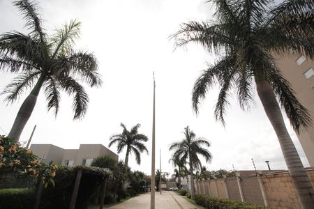 Apartamento para alugar com 53m², 2 quartos e 1 vagaÁrea comum