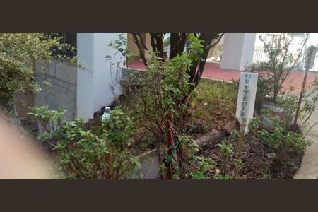 Apartamento à venda com 70m², 3 quartos e 1 vagaFoto 21