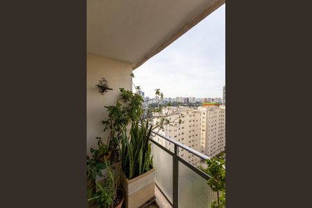 Apartamento para alugar com 119m², 2 quartos e 2 vagasSacada/Sala