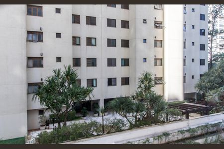 Apartamento para alugar com 232m², 3 quartos e 3 vagasVista da Suíte 2