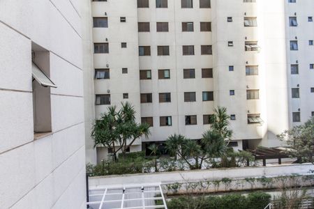 Apartamento para alugar com 232m², 3 quartos e 3 vagasVista Suíte 3