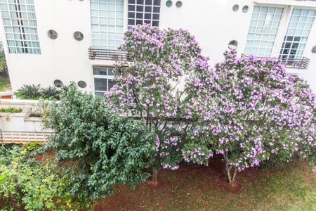 Apartamento para alugar com 232m², 3 quartos e 3 vagasVista da Suíte 1