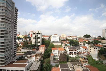 Apartamento à venda com 480m², 3 quartos e 4 vagasFoto 08