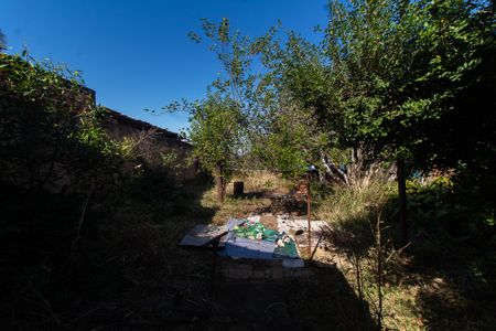 Casa à venda com 550m², 3 quartos e 3 vagasÁREA EXTERNA FUNDOS