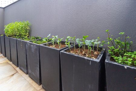 Studio para alugar com 24m², 1 quarto e sem vaga Studio para alugar com 24m², 1 quarto e sem vagaÁrea comum - Horta