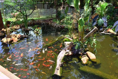 Casa de condomínio para alugar com 600m², 4 quartos e 10 vagasQuintal