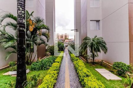 Apartamento para alugar com 63m², 3 quartos e 1 vagaÁrea comum