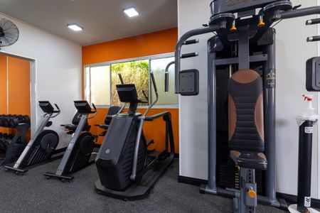 Apartamento para alugar com 50m², 2 quartos e 1 vagaÁrea comum - Academia