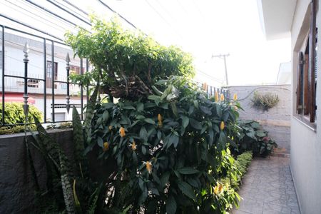 Casa à venda com 125m², 3 quartos e 2 vagasÁrea comum